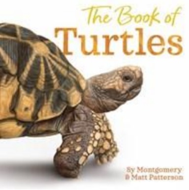 The Book of Turtles