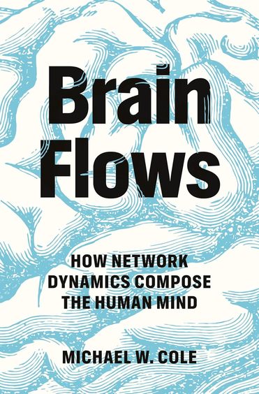 Brain Flows: How Network Dynamics Compose the Human Mind