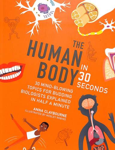 Human Body In 30 Seconds