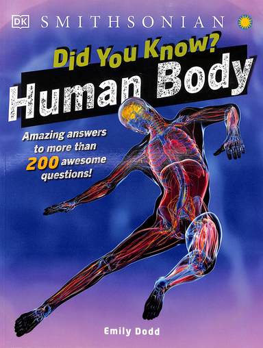 Did You Know  Human Body