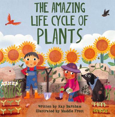 Amazing Life Cycle Of Plants : Look & Wonder