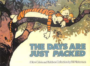 Days Are Just Packed - Calvin & Hobbes