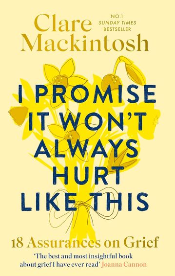 I Promise It Wont Always Hurt Like This : 18 Assurances On Grief