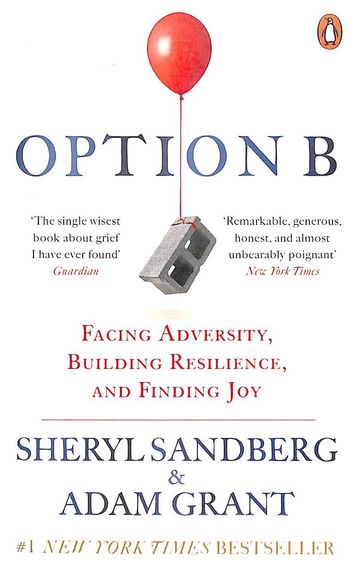 Option B : Facing Adversity Building Resilence & Finding Joy