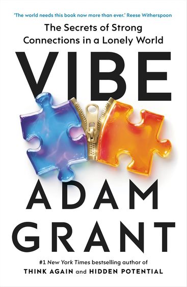 Vibe : The Secrets Of Strong Connection In A Lonely World