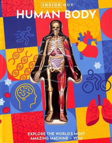 Inside Out Human Body