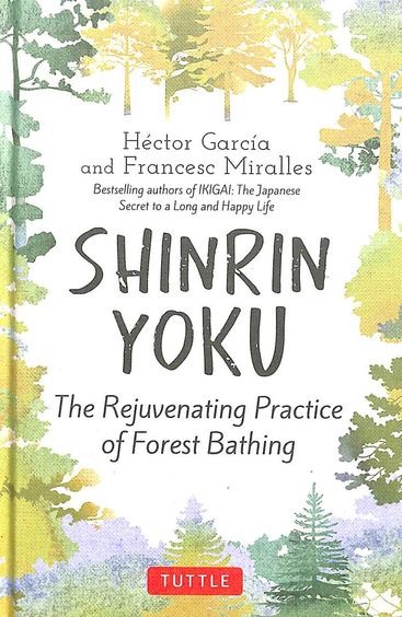 Shinrin Yoku : The Rejuvenating Practice Of Forest Bathing