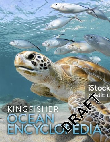 Kingfisher Ocean Encyclopedia