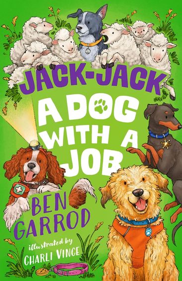 Jack Jack  A Dog With A Job