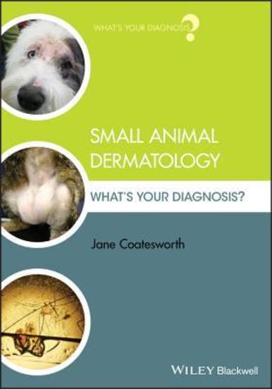 Small Animal Dermatology: Whats Your Diagnosis?