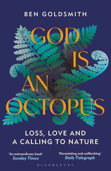 God Is An Octopus : Loss Love & A Calling To Nature
