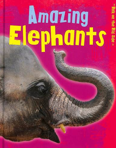 Amazing Elephants : Walk On The Wild Side