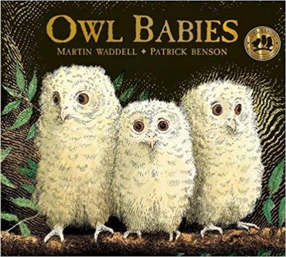 Owl Babies: 25th Anniversary Edition