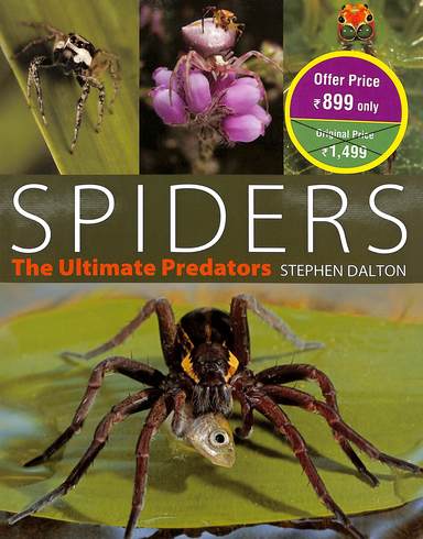 Spiders : The Ultimate Predators