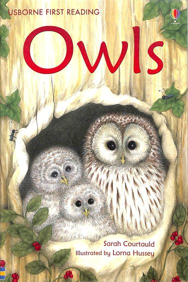 Owls - Usborne First Reading Level 4