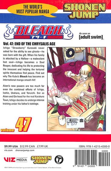 BLEACH　コミック ４７冊 Buy Bleach Vol 47 : End Of The Chrysalis Age : Shenon Jump book