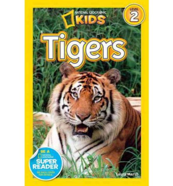Kids Tigers Level 2