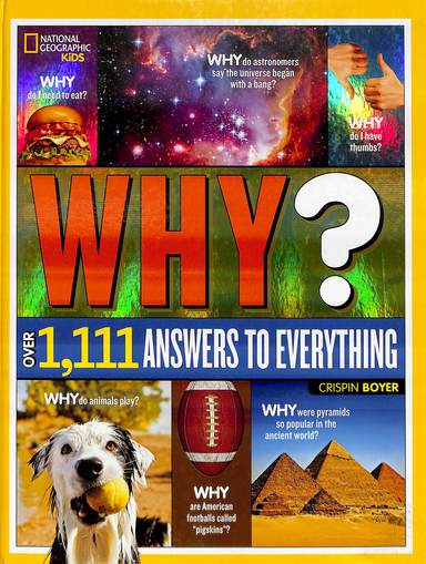 Why Over 1111 Answers To Everything