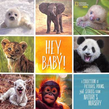 Hey Baby : A Collection Of Pictures Poems & Stories From Natures Nursery