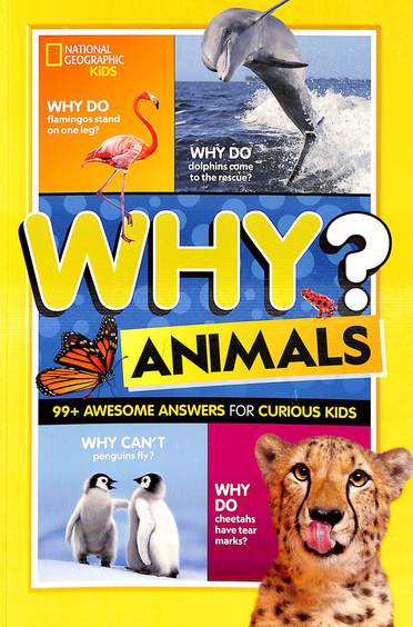 Why Animals