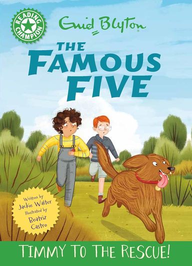 Famous Five Timmy To The Rescue : Reading Champion