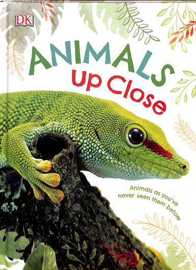 Animals Up Close