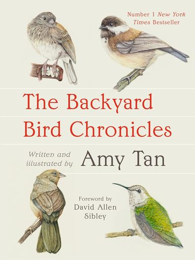 Backyard Bird Chronicles