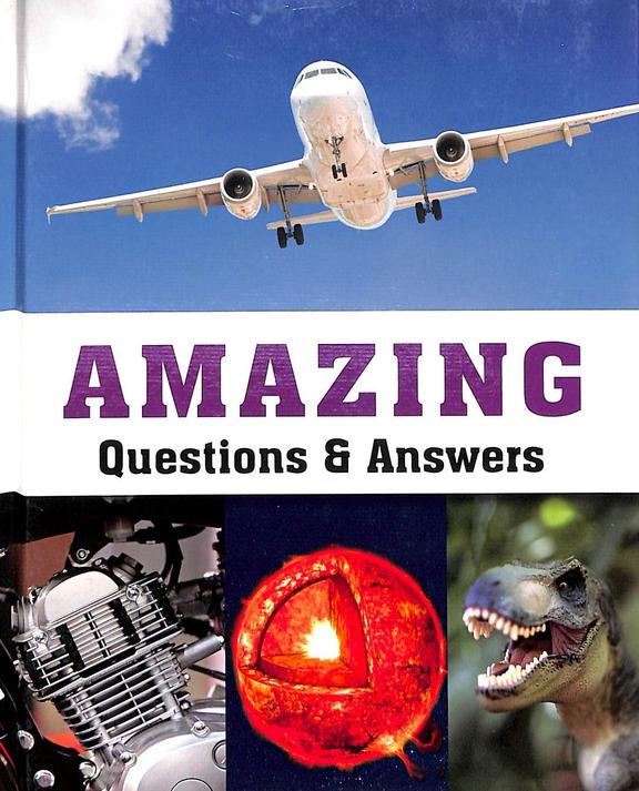 Amazing Questions & Answers