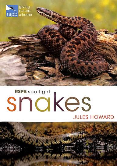 Rspb Spotlight Snakes