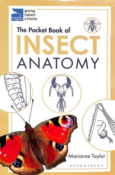 Pocket Book Of Insect Anatomy