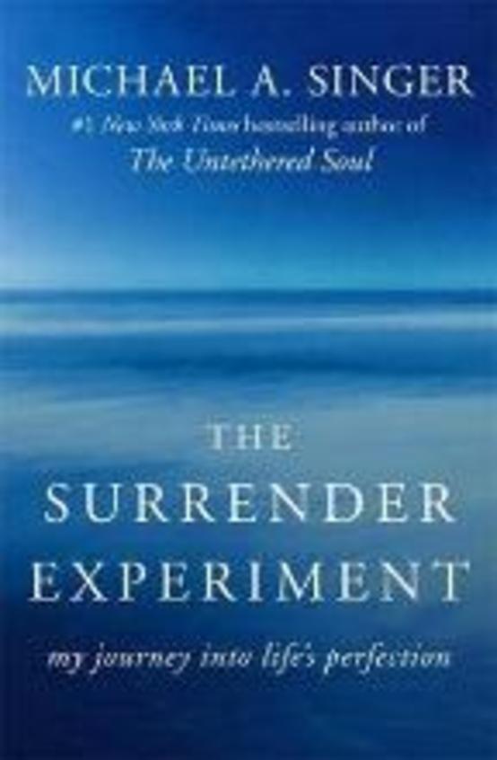 Surrender Experiment : My Journey Into Life Perfection