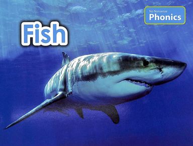 No Nonsense Phonics : Fish