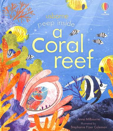 Peep Inside A Coral Reef