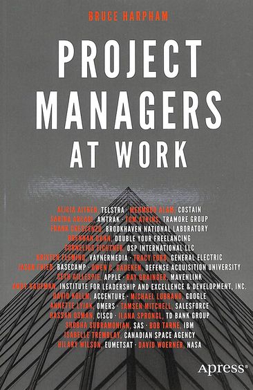 Project Managers At Work