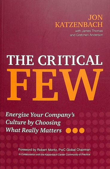 Critical Few : Energize Your Companys Culture By Choosing What Really Matters