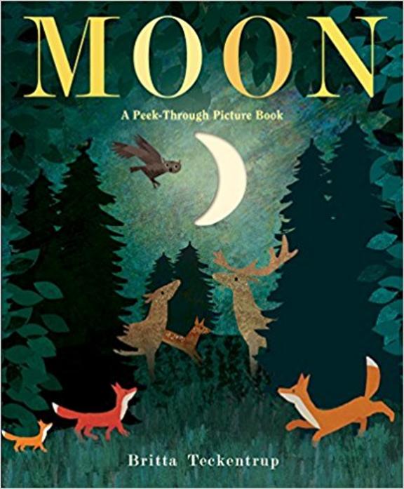 Moon : A Peek Through Picture Book
