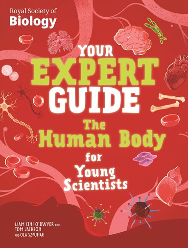 Your Expert Guide : The Human Body For Young Scientists