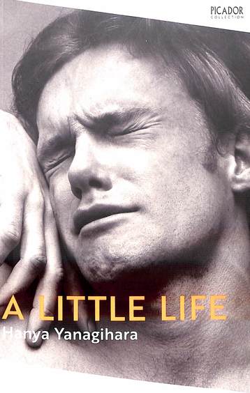 Little Life