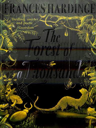Forest Of A Thousand Eyes