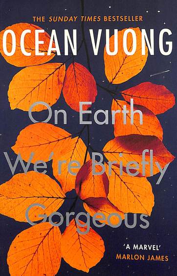 On Earth We'Re Briefly Gorgeous