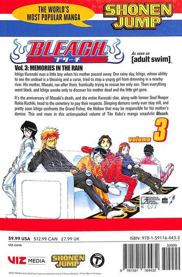 Bleach - Volume 3: Memories in the Rain