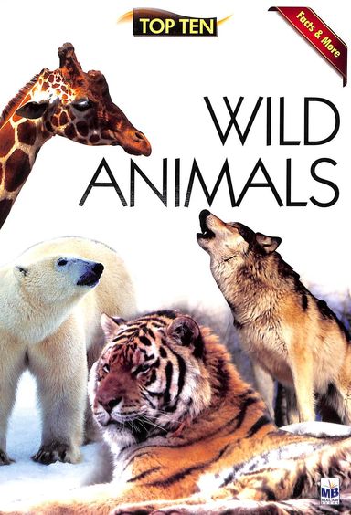 Facts & More Wild Animals