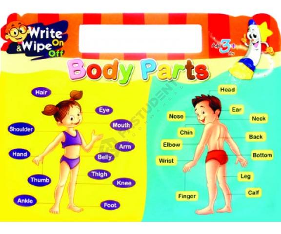 Body Parts