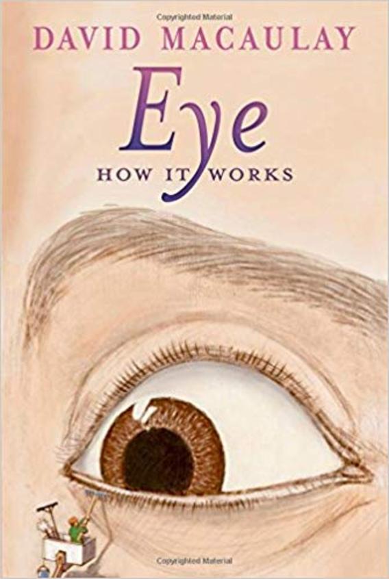 Eye : How It Works