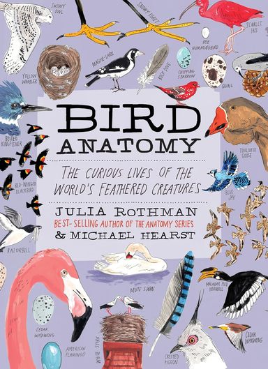 Bird Anatomy : The Curious Lives Of The Worlds Feathered Creatures