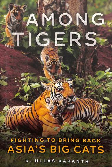 Among Tigers