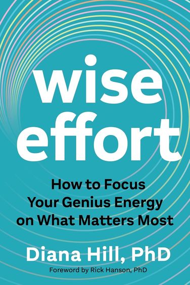 Wise Effort : How To Focus Your Genius Energy On What Matters Most
