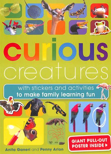Curious Creatures With Stickers & Activities