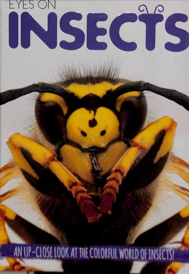 Eyes On Insects