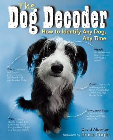 Dog Decoder: How To Identify Any Dog, Any Time